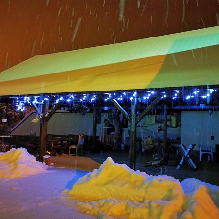 Limpedea Green House Baia Mare Dış mekan fotoğraf