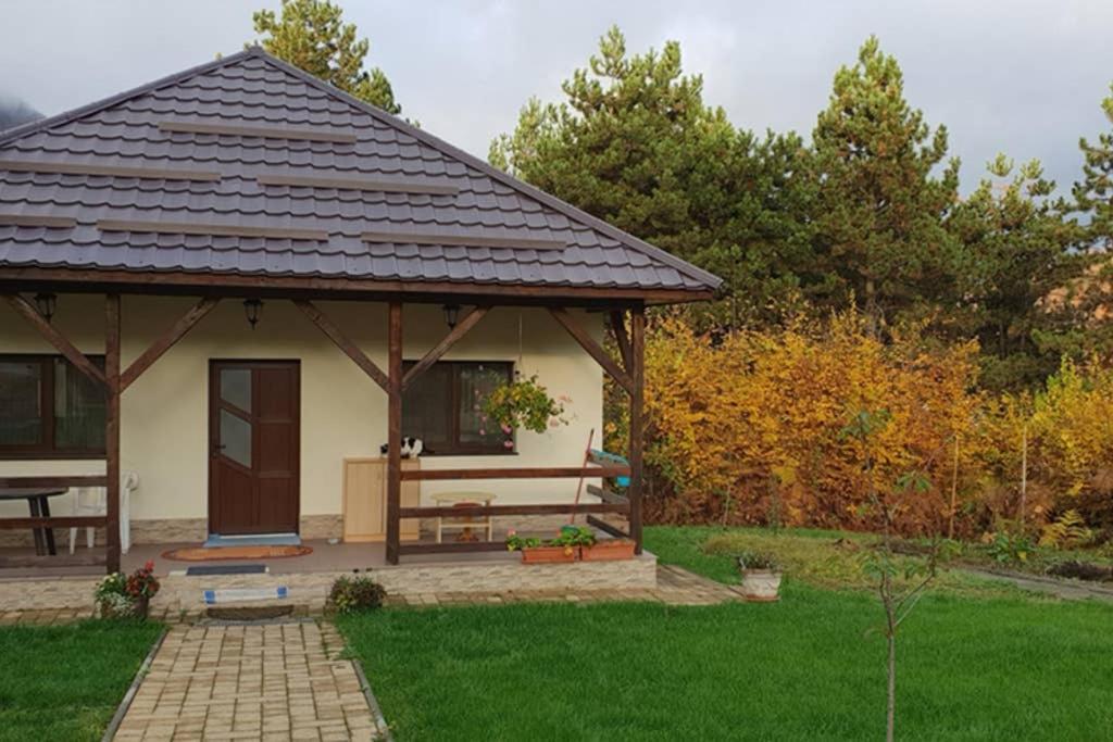 Limpedea Green House Baia Mare Dış mekan fotoğraf
