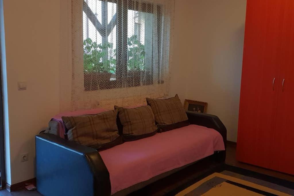 Limpedea Green House Baia Mare Dış mekan fotoğraf