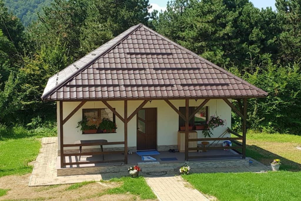 Limpedea Green House Baia Mare Dış mekan fotoğraf