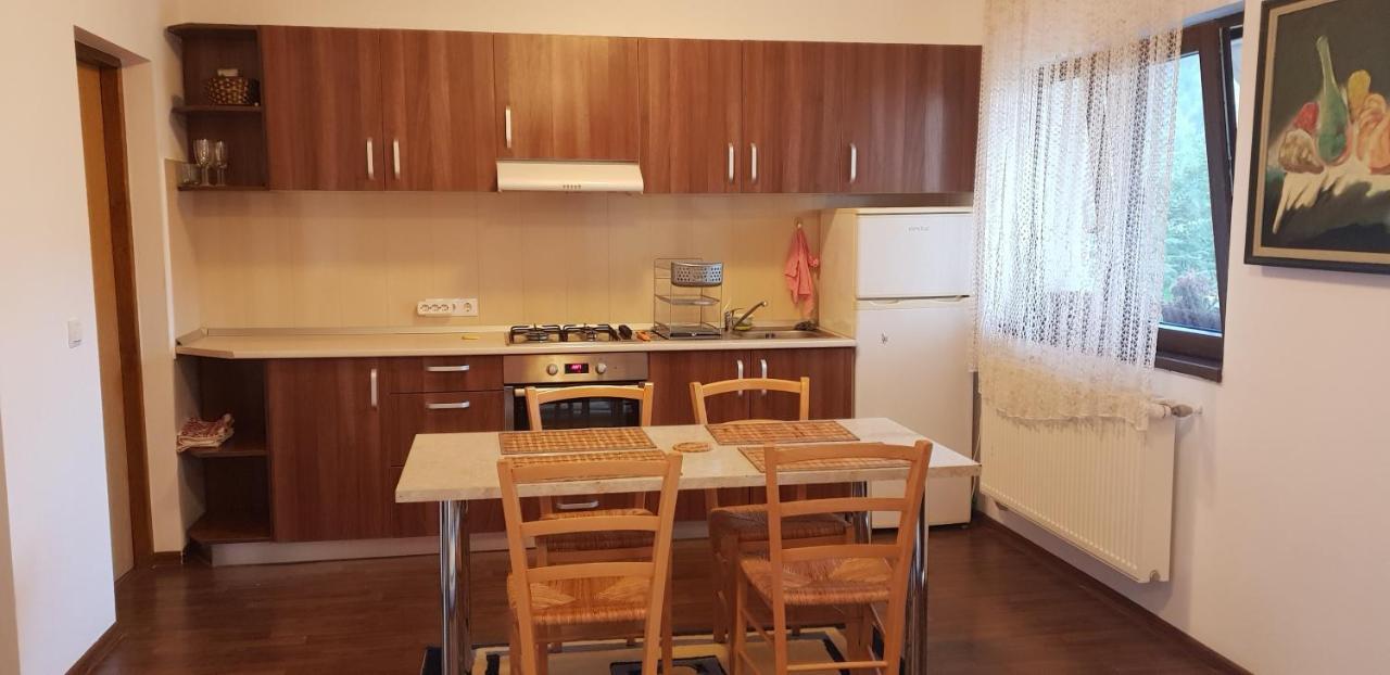 Limpedea Green House Baia Mare Dış mekan fotoğraf