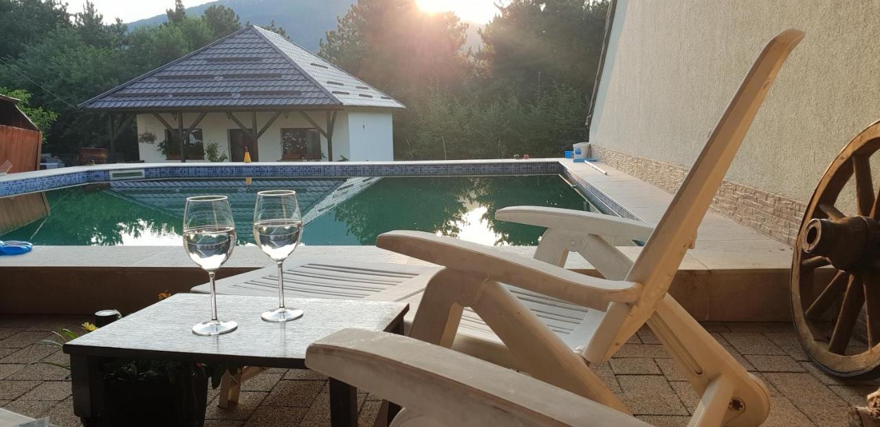 Limpedea Green House Baia Mare Dış mekan fotoğraf
