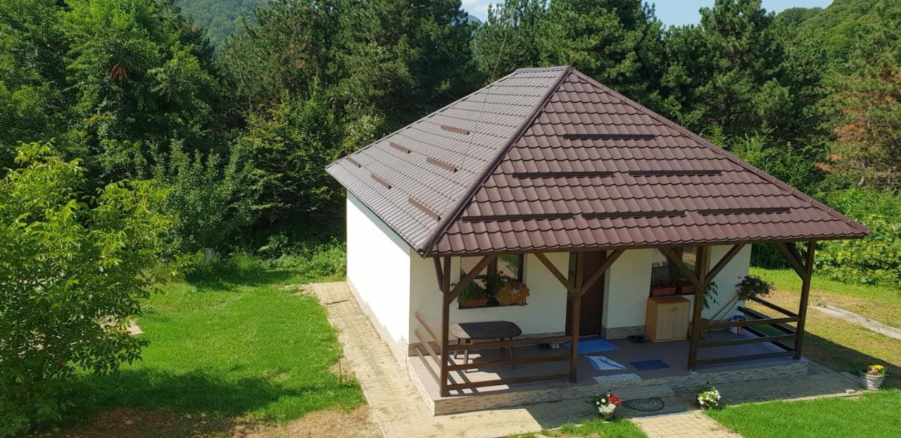 Limpedea Green House Baia Mare Dış mekan fotoğraf