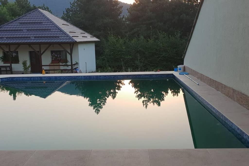 Limpedea Green House Baia Mare Dış mekan fotoğraf