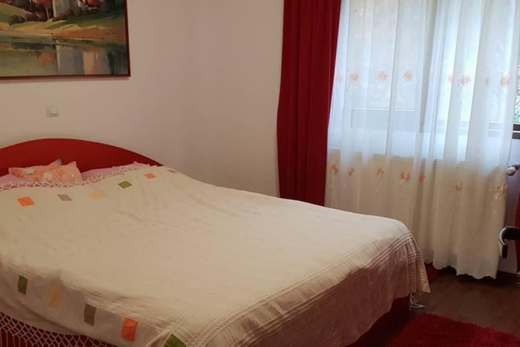 Limpedea Green House Baia Mare Dış mekan fotoğraf