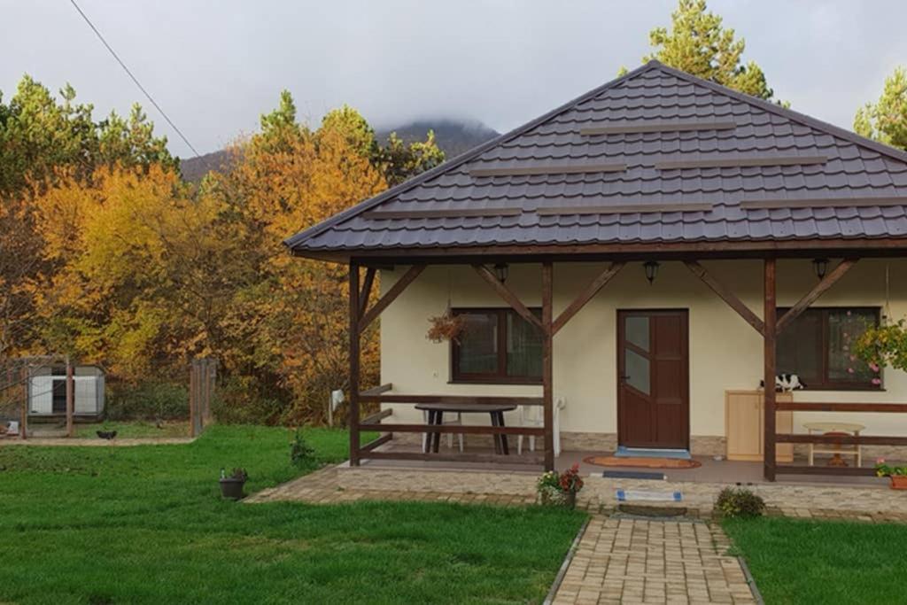 Limpedea Green House Baia Mare Dış mekan fotoğraf