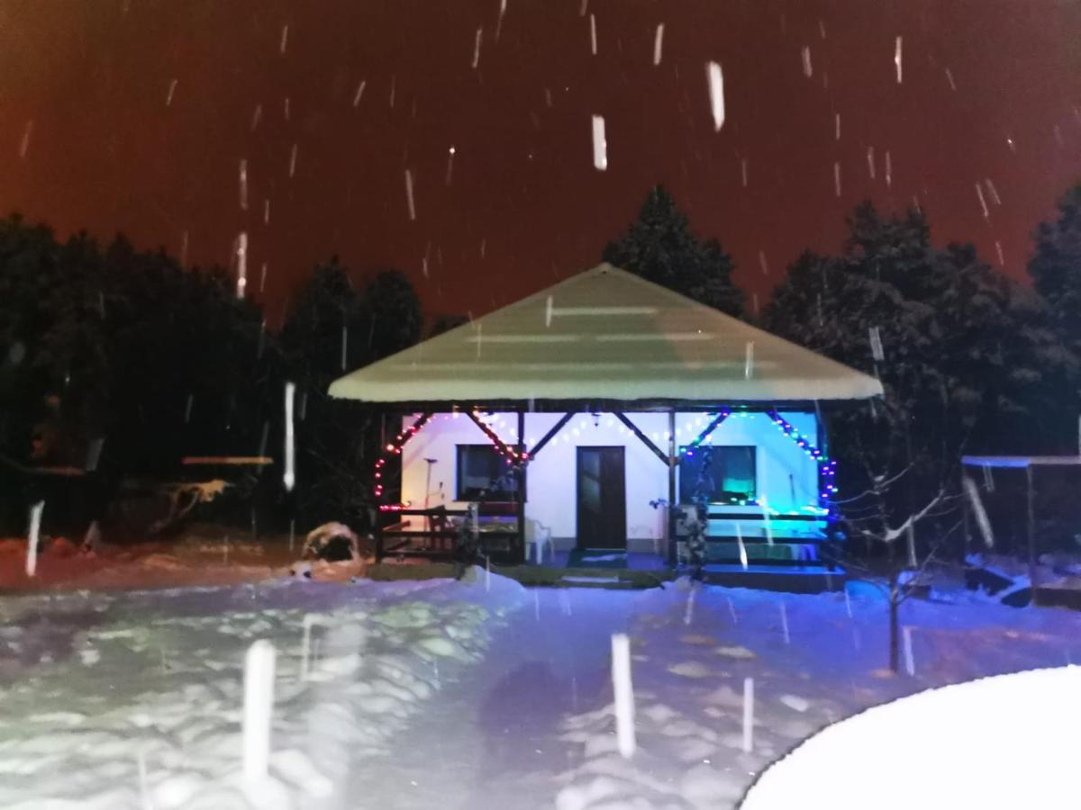 Limpedea Green House Baia Mare Dış mekan fotoğraf