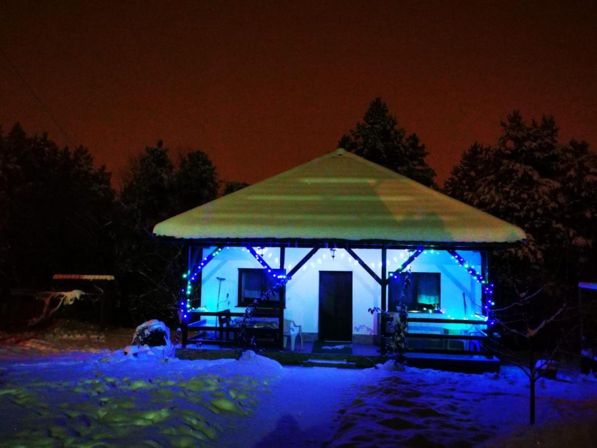Limpedea Green House Baia Mare Dış mekan fotoğraf