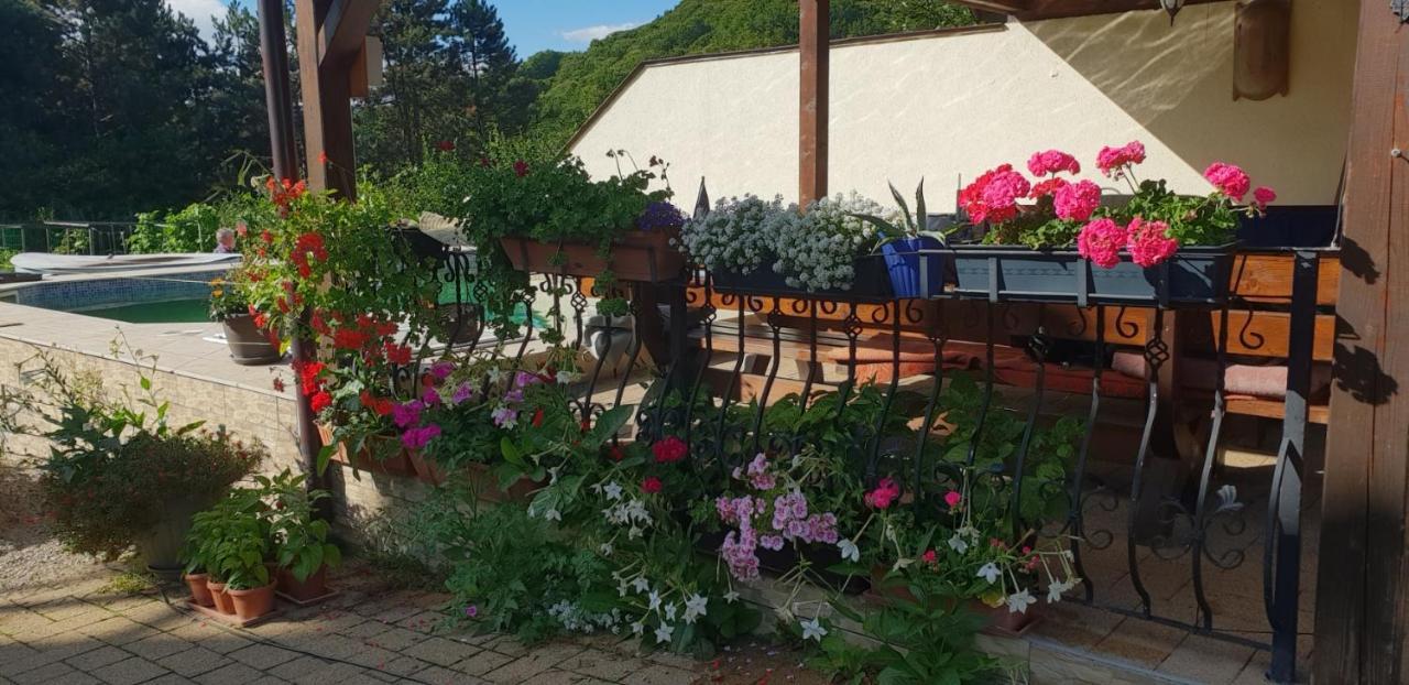Limpedea Green House Baia Mare Dış mekan fotoğraf