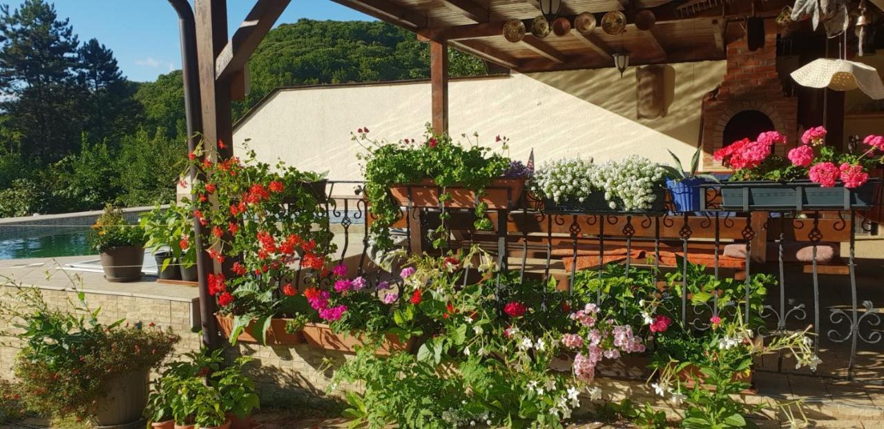 Limpedea Green House Baia Mare Dış mekan fotoğraf